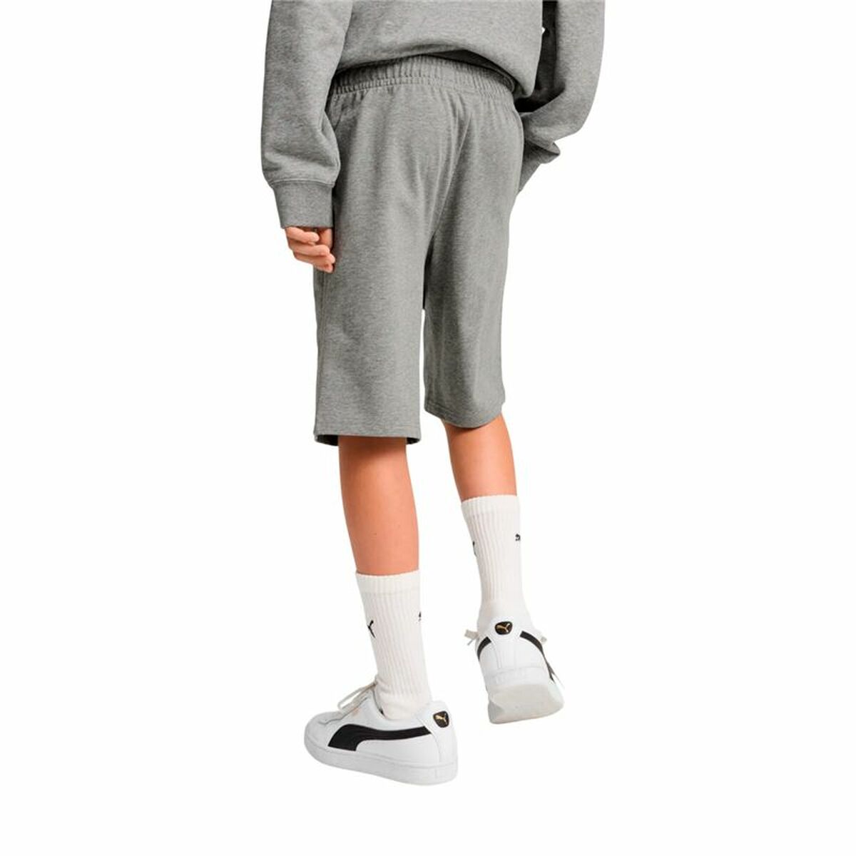 V3H4E6CF85453BAF26DE3EE325DE32252A9R6081855P4