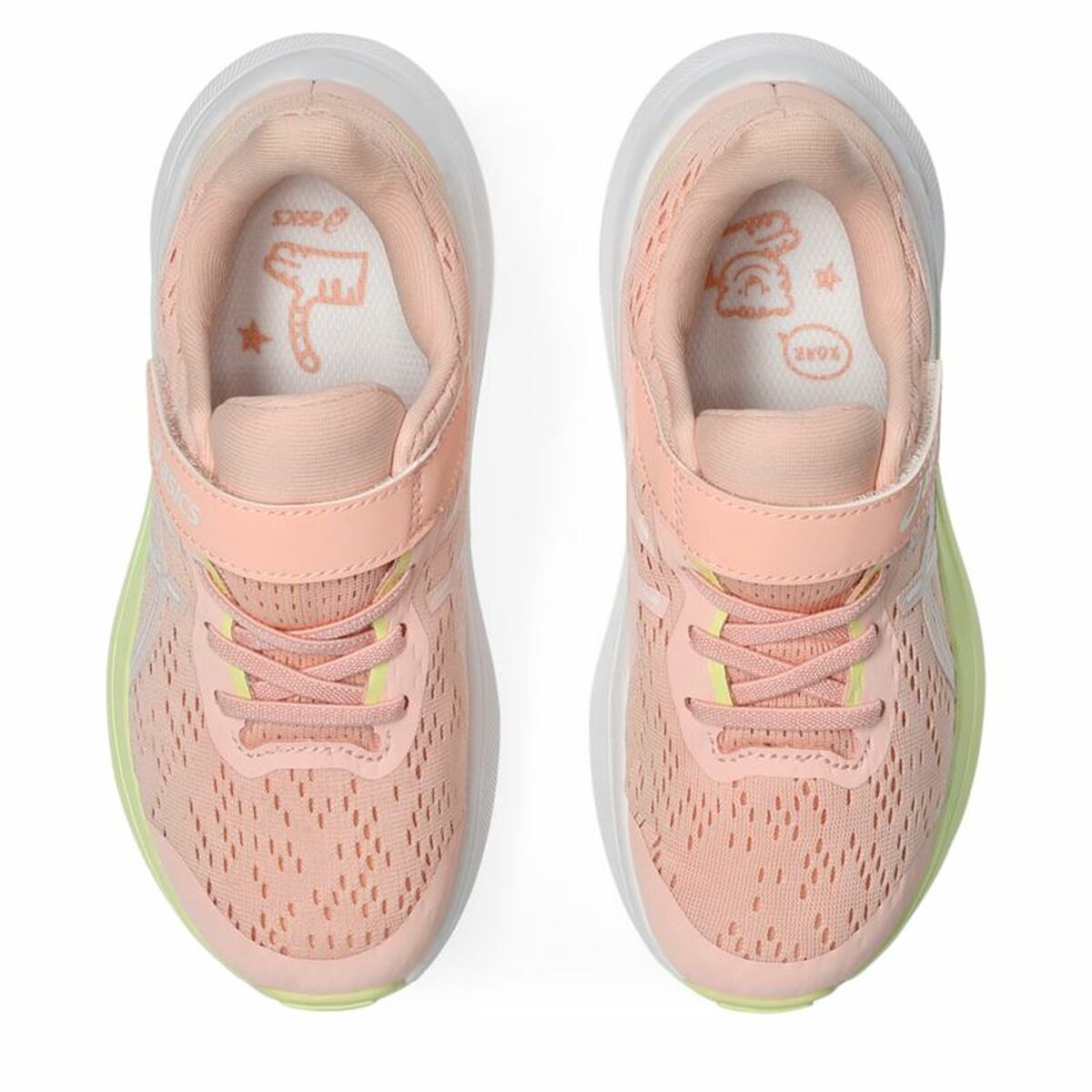 V3H50C6E37EB4D901A37FD905C08C1DD8CBR5755225P4