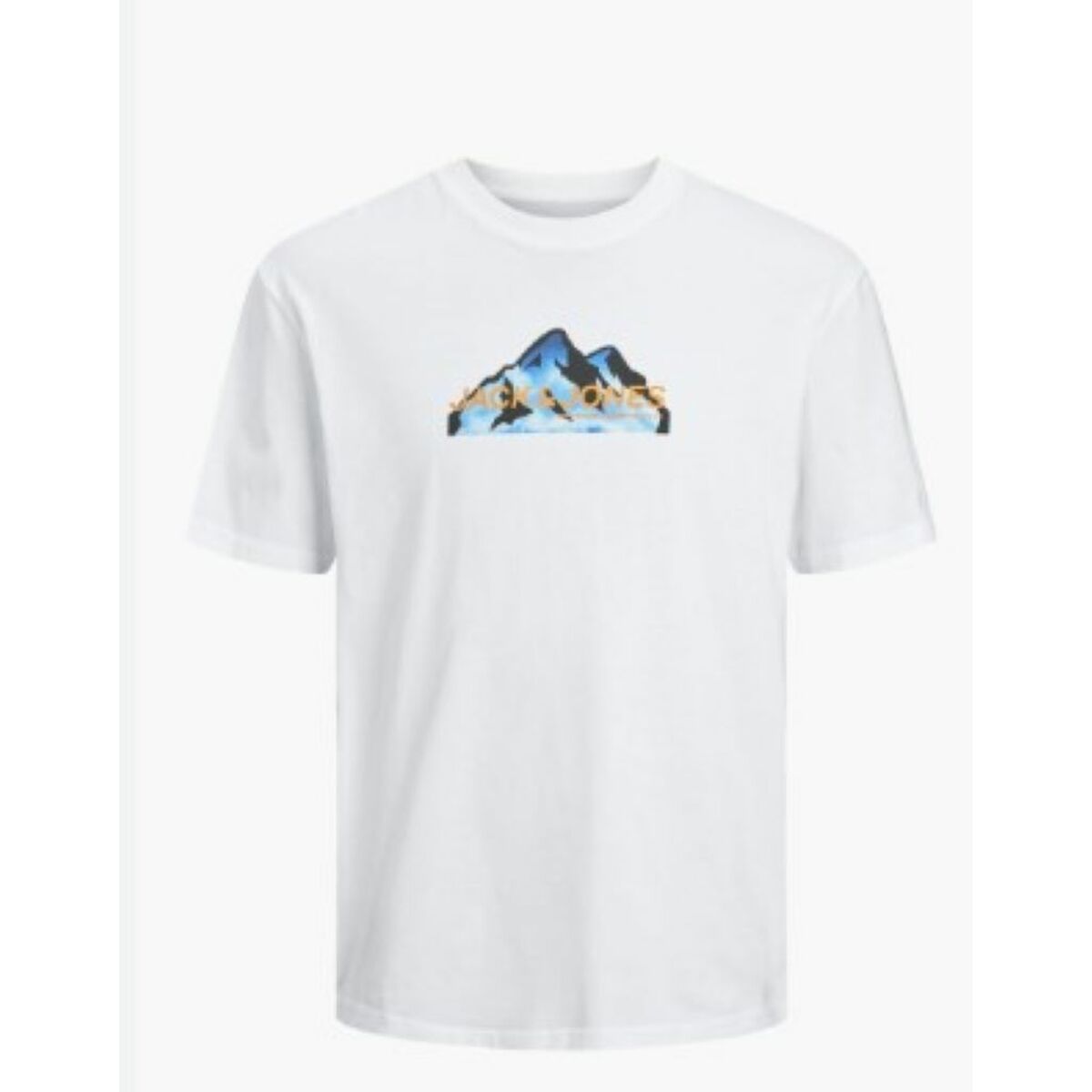 V4H9C6F176B8FE06078E87AB7CE83AE8392R5315595P2