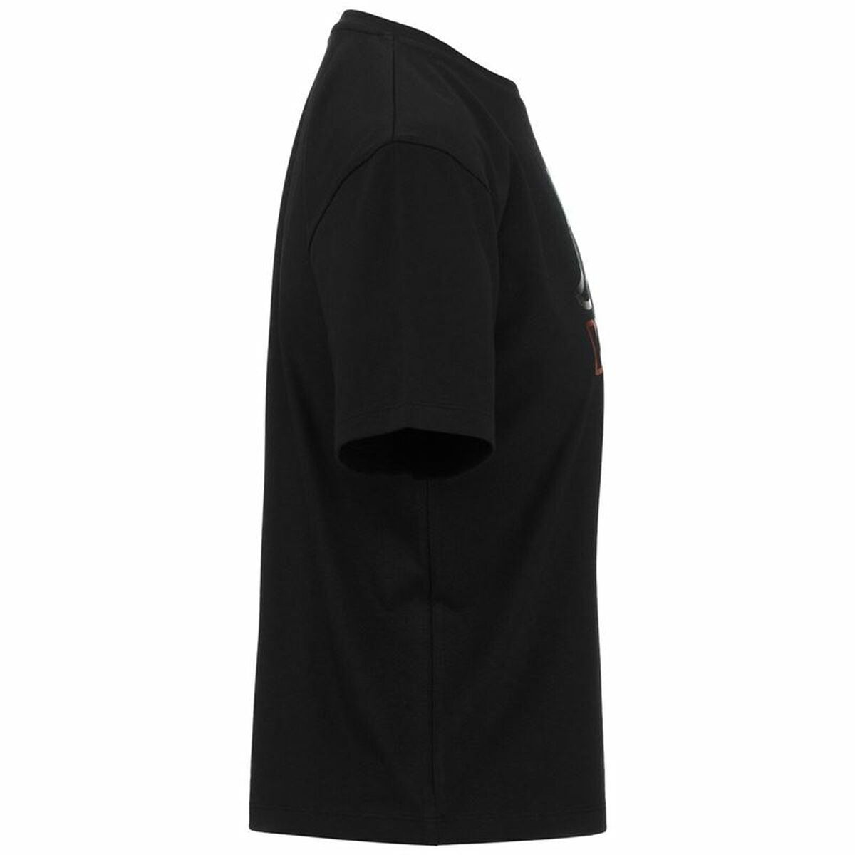 V4HA26F0F33DCAF546CC34980CF9D33273BR4937647P6