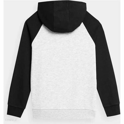 V6HC92AA10C1FF8FDB514F47D4C877D840DR4479446P2