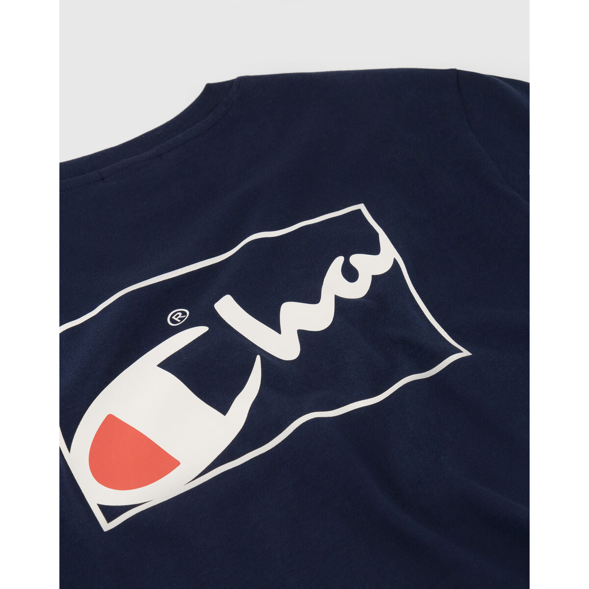 V5H9588580E1B8E4B2EE42EC69676BC975BR6595343P3